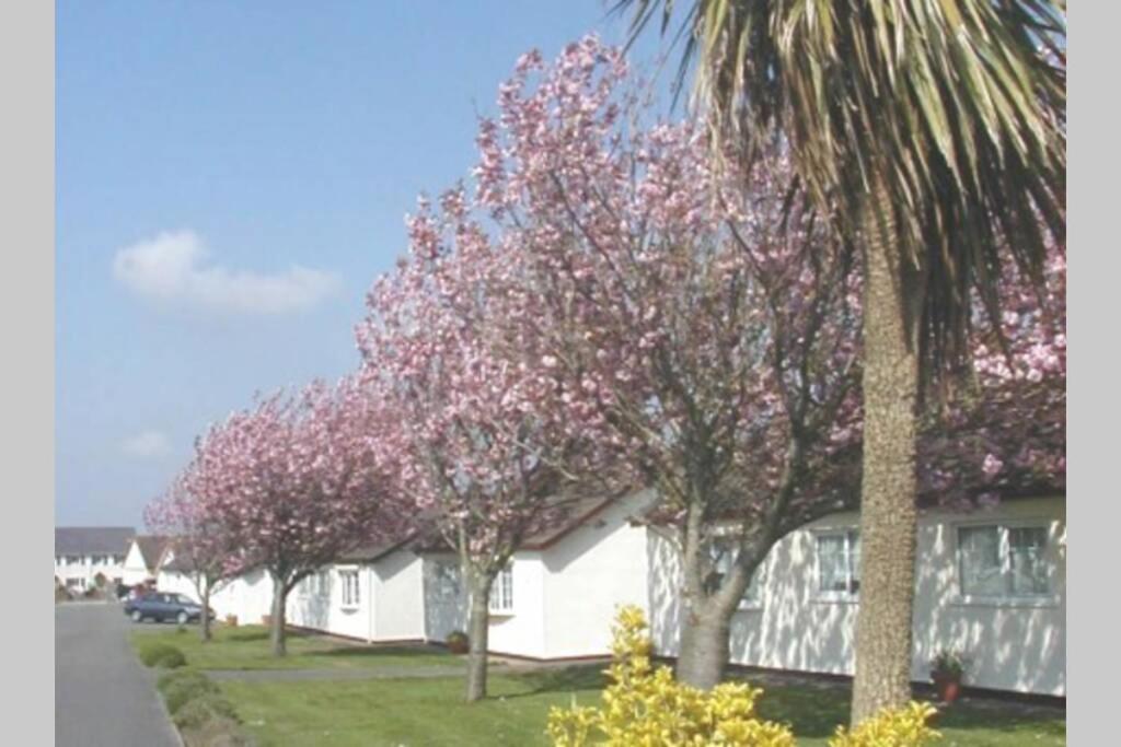 Villa Perfect For The Family And Beaches - Gower Cwtch Swansea Exterior foto